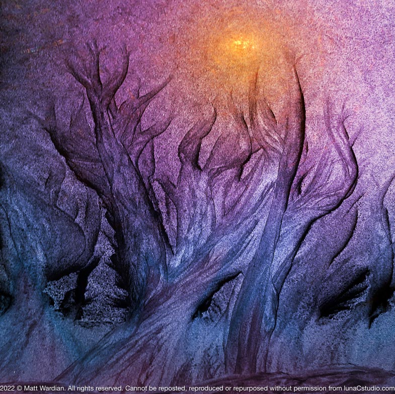 IMG_6952_6950_Sunflow-full