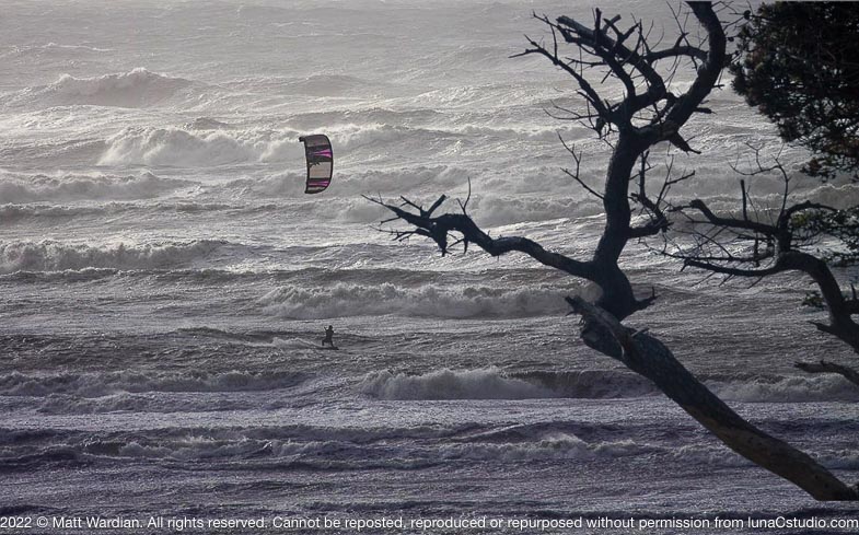 DSC_0348_tree_storm_kitesurf