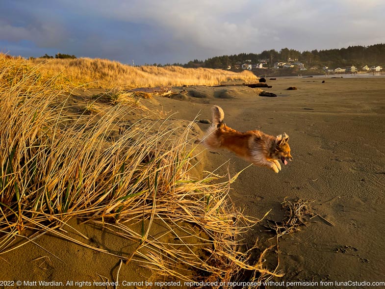 15C85626-A253-4ACF-9957-CAD20835BC88-1