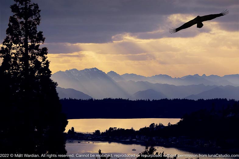 3tree_sunset_rays_MG_2708-sm
